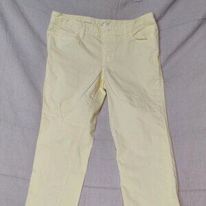 Ann Taylor Loft 30/10 Boyfriend Jeans Yellow Button Fly